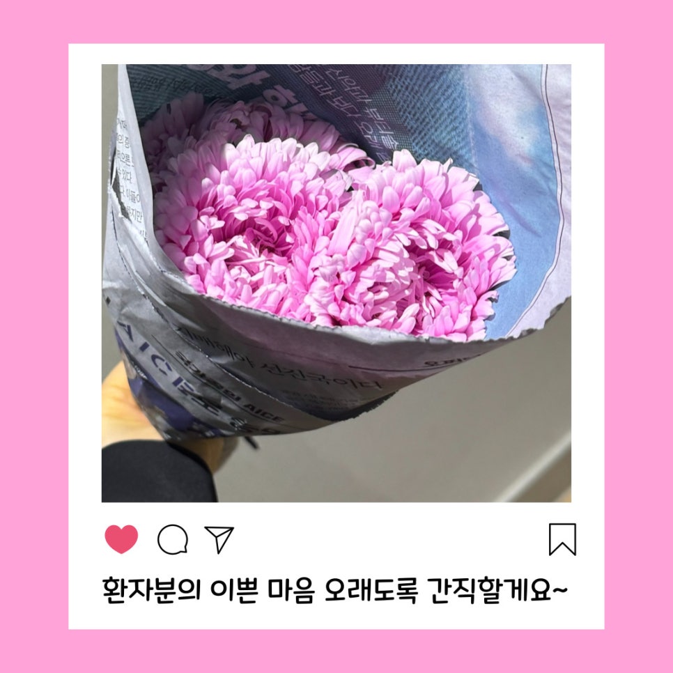 라이브에 핀 한 송이 꽃 관련 이미지 2