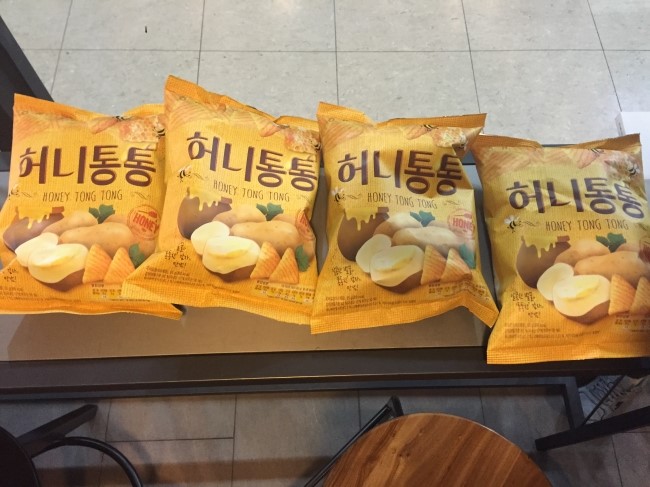 허니통통과 함께한 며니의 일상^^ 관련 이미지 5