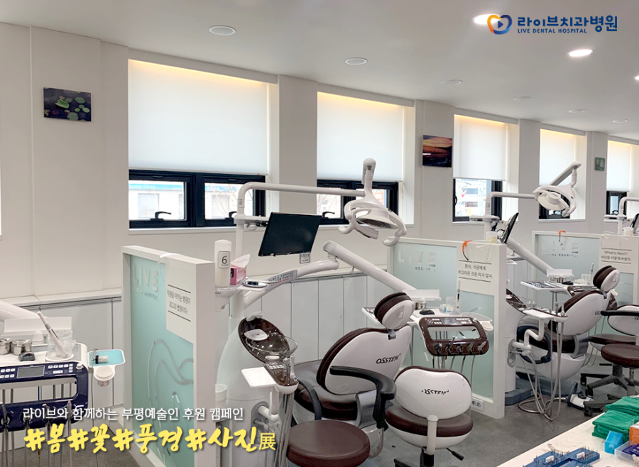 #봄#꽃#풍경#사진 전(展)｜라이브치과 부평예술인 후원캠페인 세번째 이야기 관련 이미지 10