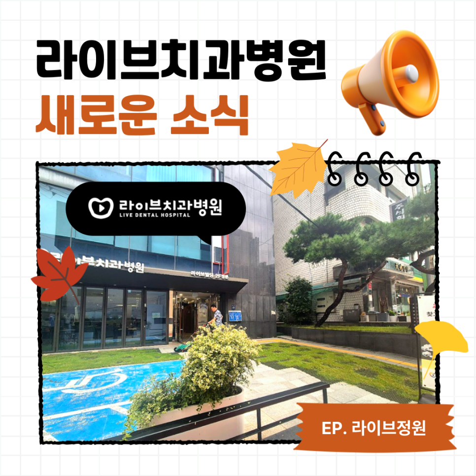 라이브치과병원 강남점 앞마당에서 가을바람 느껴봐요! 관련 이미지 1