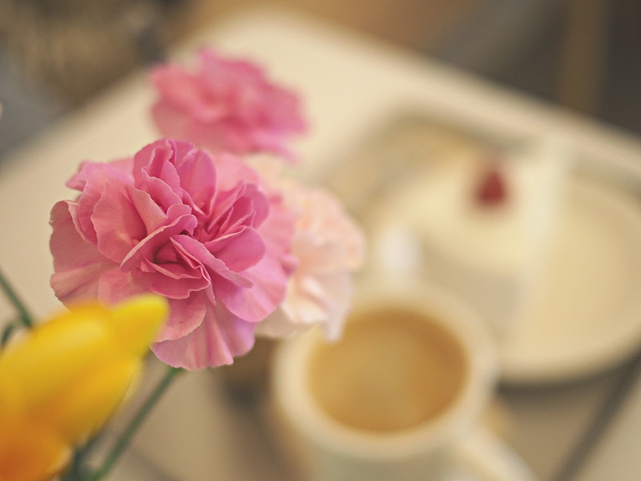 꽃과 함께 돌아온 봄 관련 이미지 3