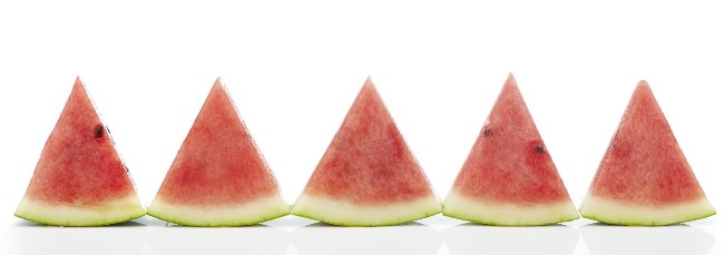 오늘의 블로그씨는 여름과일? 관련 이미지 1