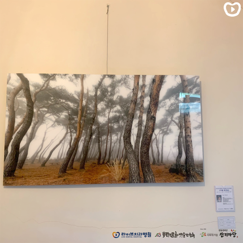 겨울전시 관련 이미지 7