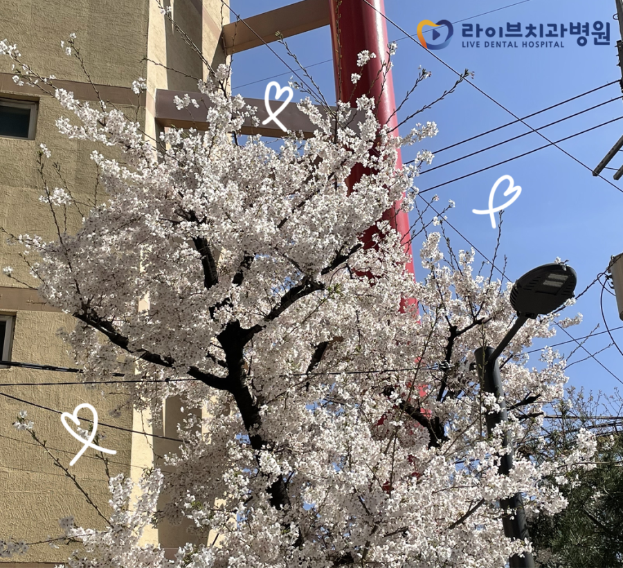 [2021년 정기방역] 라이브치과병원 강남&인천 3월 방역 완료 관련 이미지 7