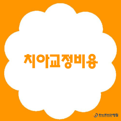 치아교정비용, 반드시 따져봐야 할 것은? 관련 이미지 1
