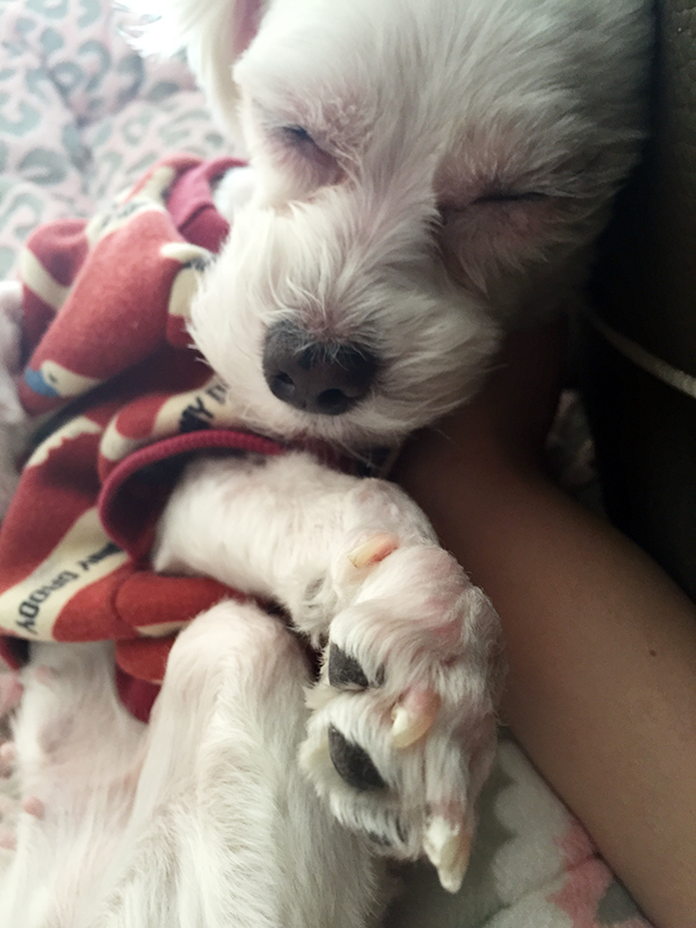 주말엔 아이라인과 빈둥빈둥 관련 이미지 5