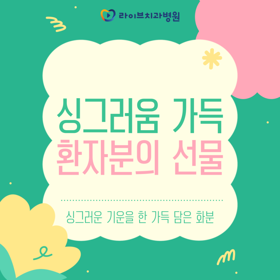 싱그러움 가득한 환자분의 선물 관련 이미지 1