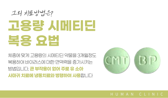 서울대역피부과 사마귀치료 더 심해지기 전에 관련 이미지 11