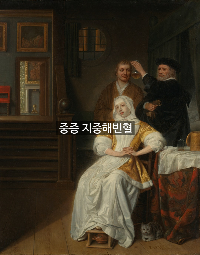 중증 지중해빈혈 꿀팁! 관련 이미지 1