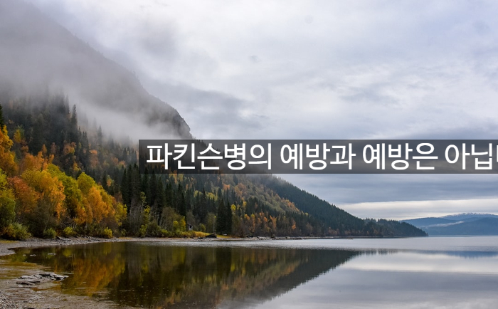 파킨슨병의 예방과 예방은 아닙니다. 관련 이미지 1