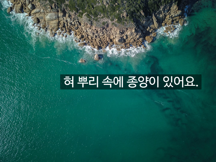 혀 뿌리 속에 종양이 있어요. 알려드립니다 관련 이미지 1