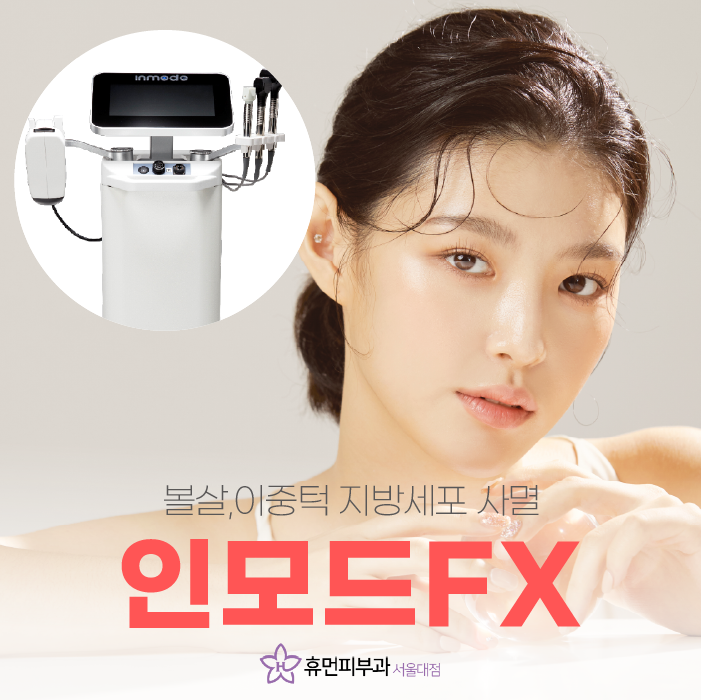 서울인모드 FX 모드로 갸름하게 관련 이미지 1
