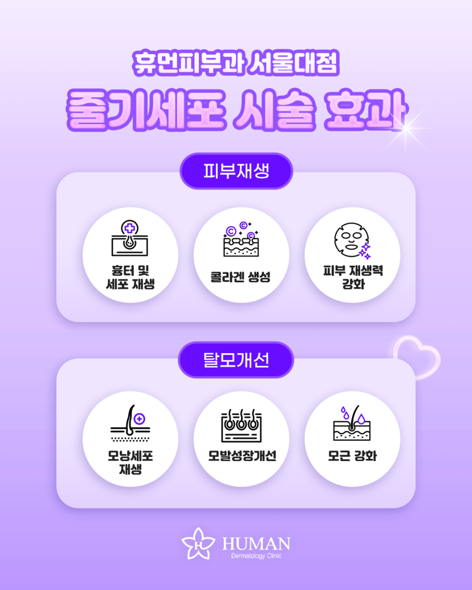 Do Stem Cell Treatments Really Work? Here’s What Human Dermatology Seoul National University Branch Says image 3