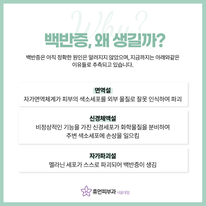 흑석피부과 백반증 포기하지 마세요 관련 이미지 3
