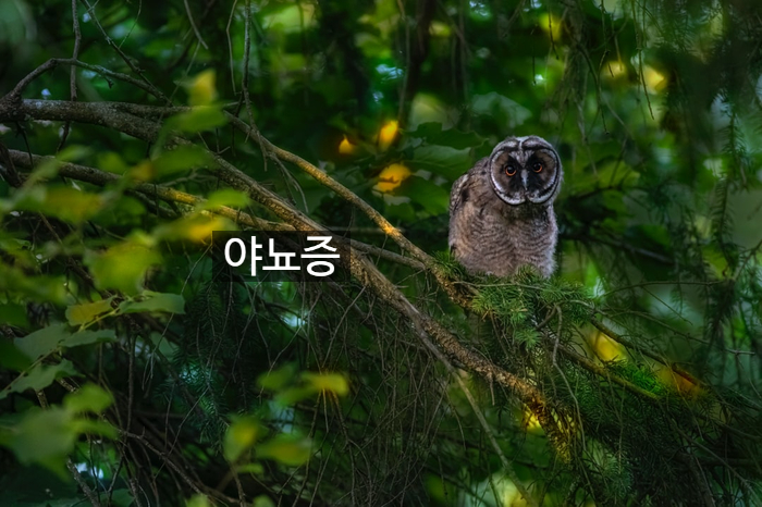 야뇨증 확인했어요~ 관련 이미지 1