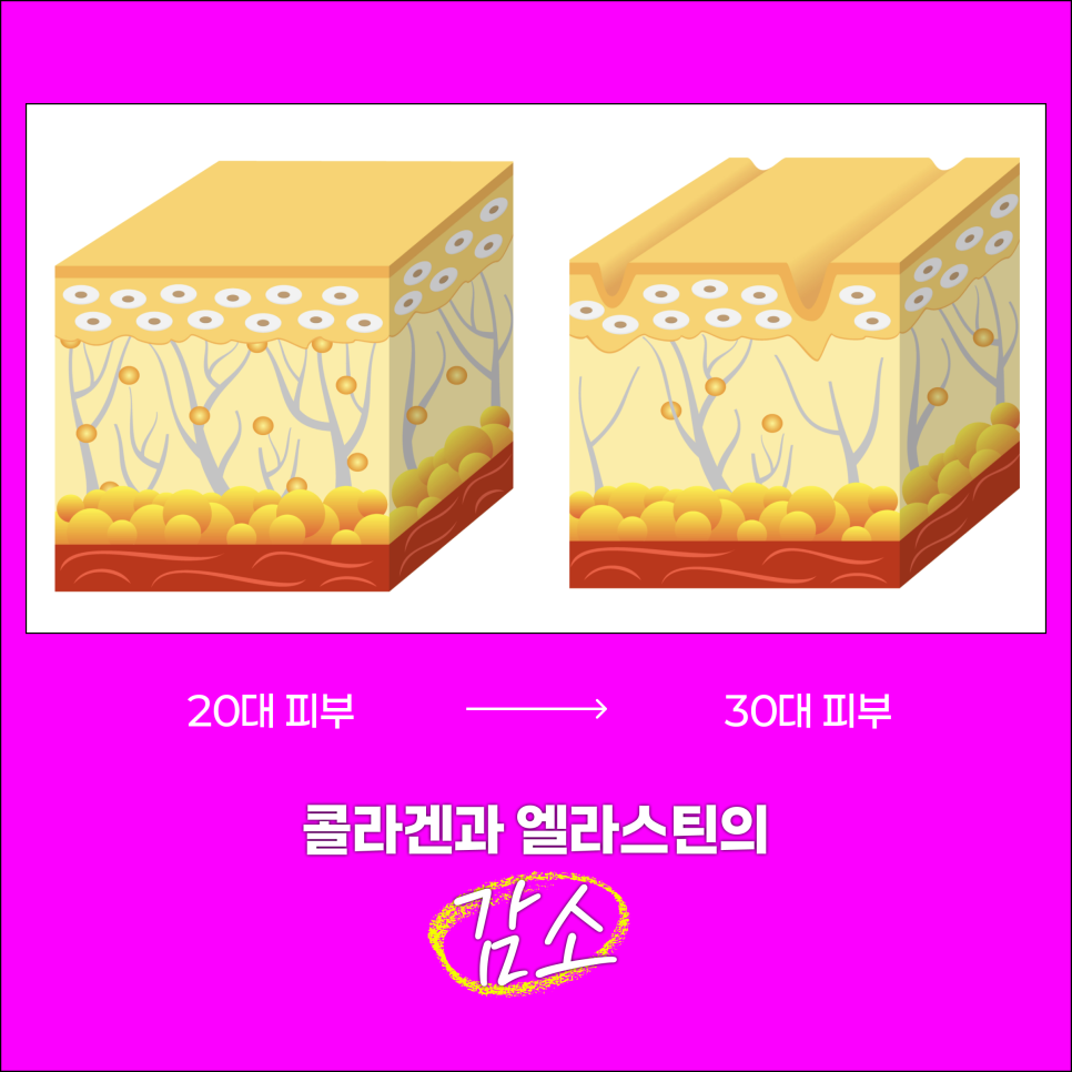Nakseongdae Station Dermatology: If You Could Get Only One Treatment for Early 30s Skin Care, What Would It Be? image 3