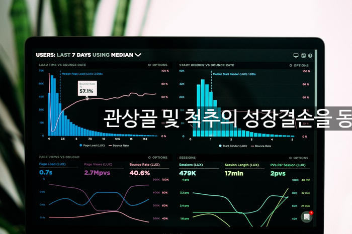 관상골 및 척추의 성장결손을 동반한 기타 골연골형성이상 알면좋은 관련 이미지 1
