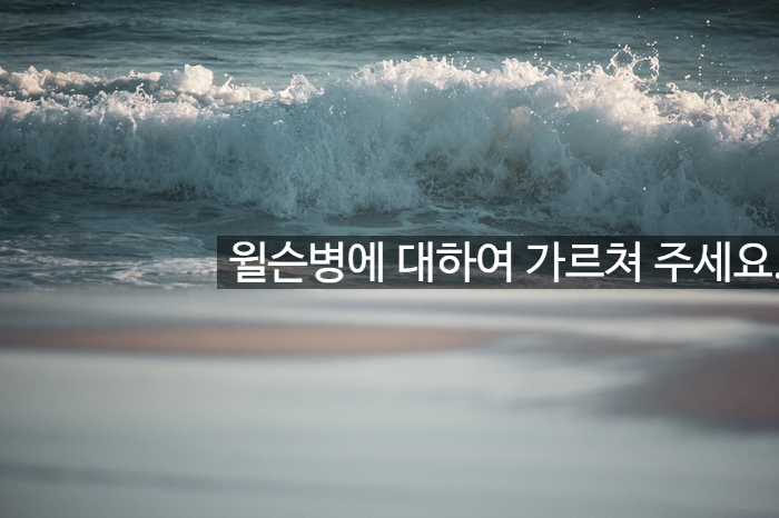윌슨병에 대하여 가르쳐 주세요. 알려드립니다!! 관련 이미지 1