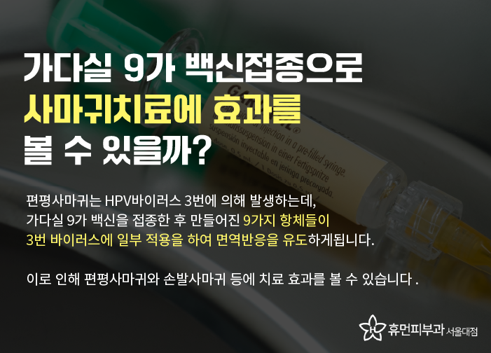 방배동피부과 가다실 9가로 사마귀까지 관련 이미지 3