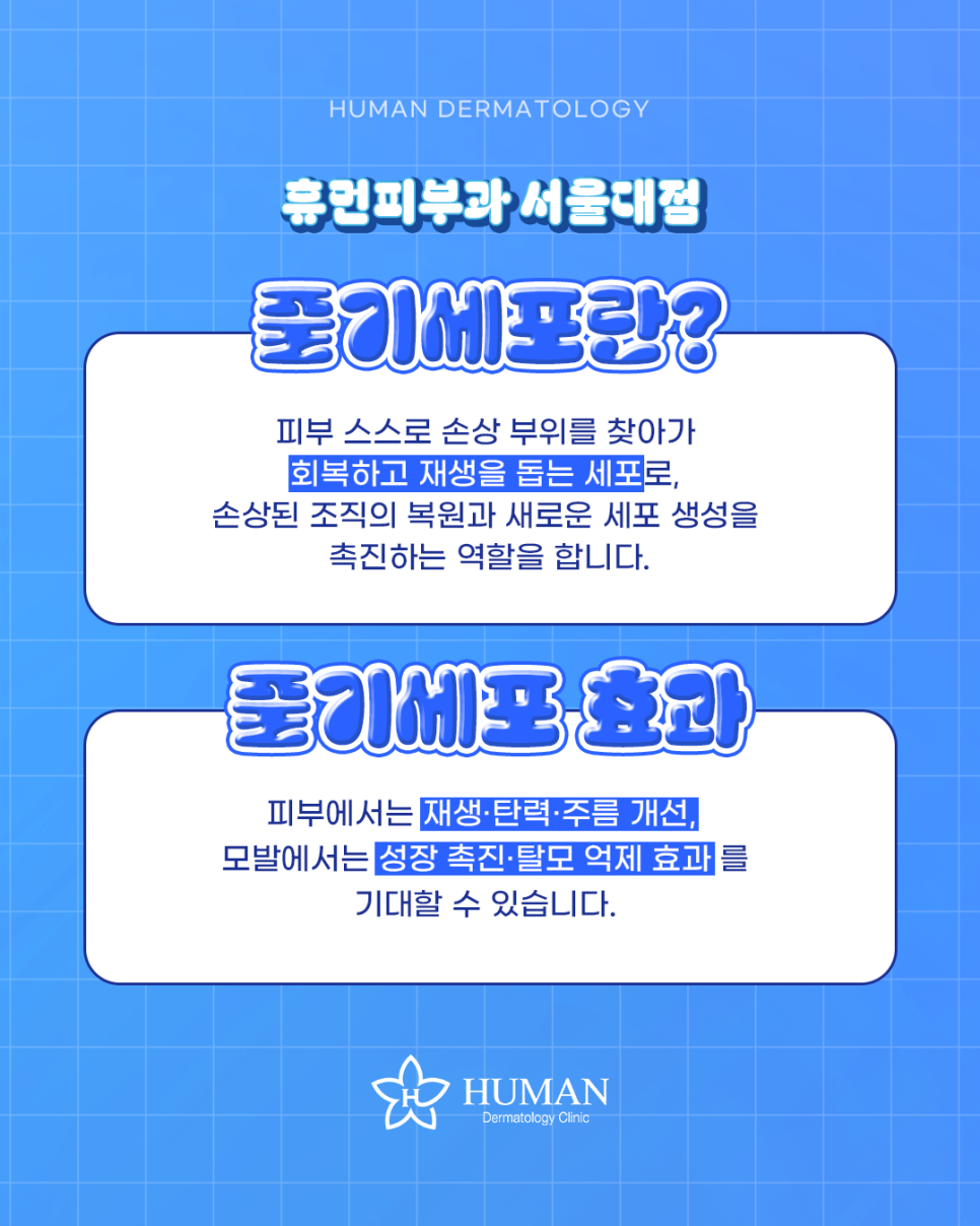 Human Dermatology Seoul National University Branch, Stem Cell Launch Event! image 2