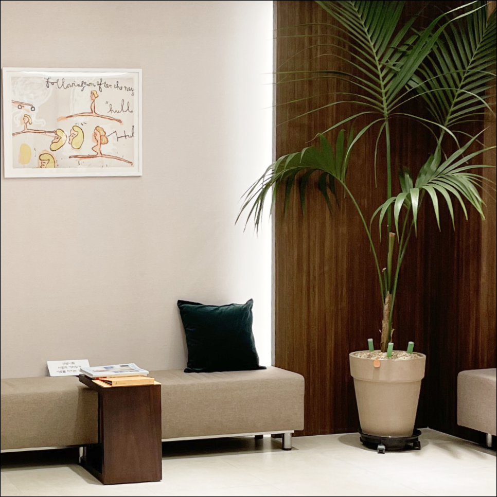 What Lifting Treatment Should I Get at Seoul National University Station to Avoid Regret? image 8
