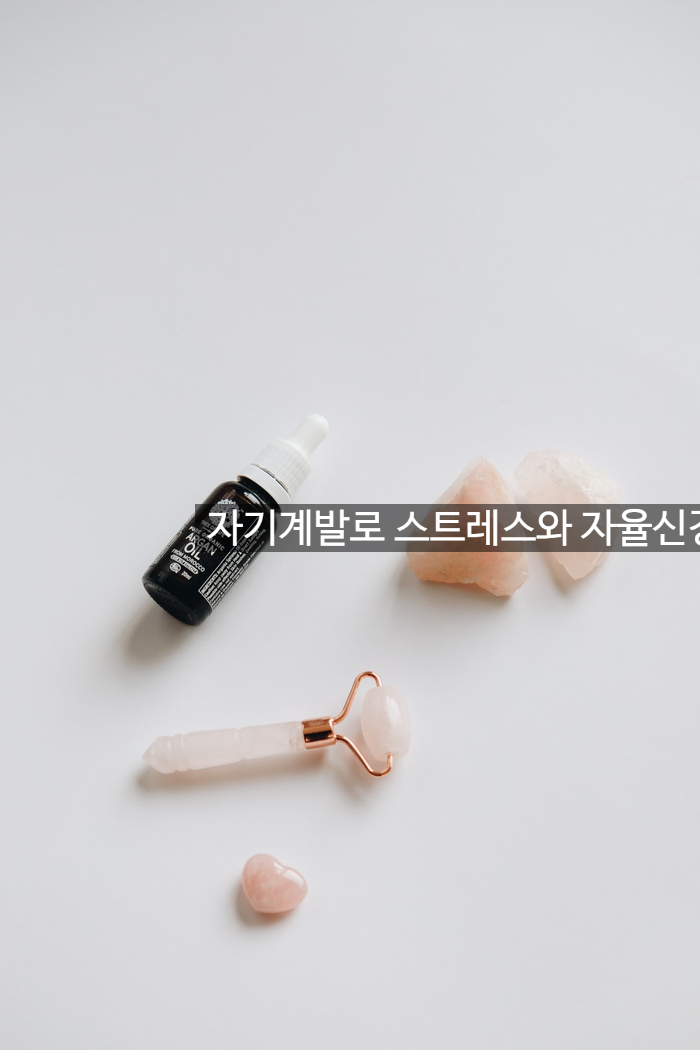 자기계발로 스트레스와 자율신경 실조증을 극복하는 방법 00입니다. 관련 이미지 1
