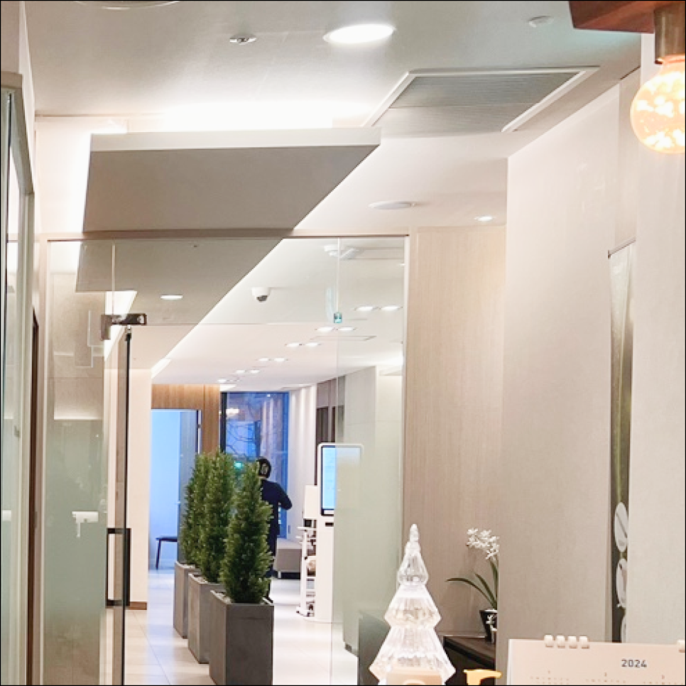 SNU Seoul National University Entrance Station Dermatology: Choosing What to Create a V-Line? image 5