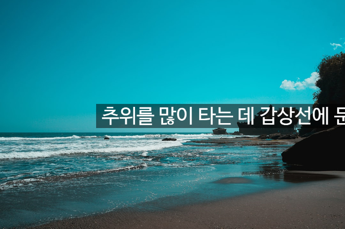추위를 많이 타는 데 갑상선에 문제가 있으면 그렇다고 합니다. 갑상선 기능저하증인가요? 알아보자! 관련 이미지 1