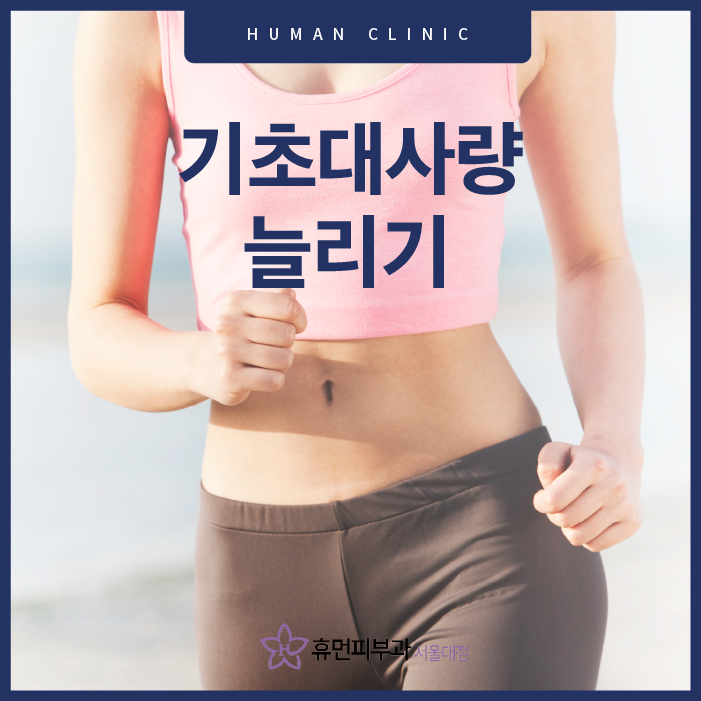기초대사량늘리기 건강과 몸매 관리를 동시에 하는 방법은? 관련 이미지 1