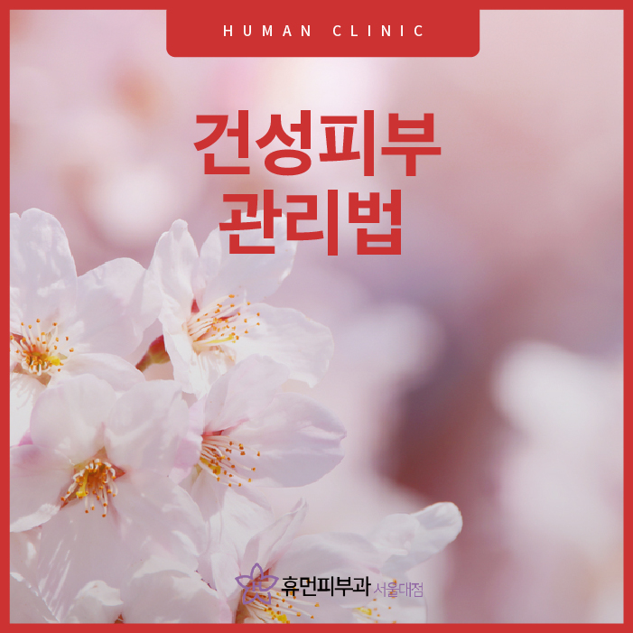 건성피부관리법 알아보고 봄철 피부관리도 건강하게 관련 이미지 1