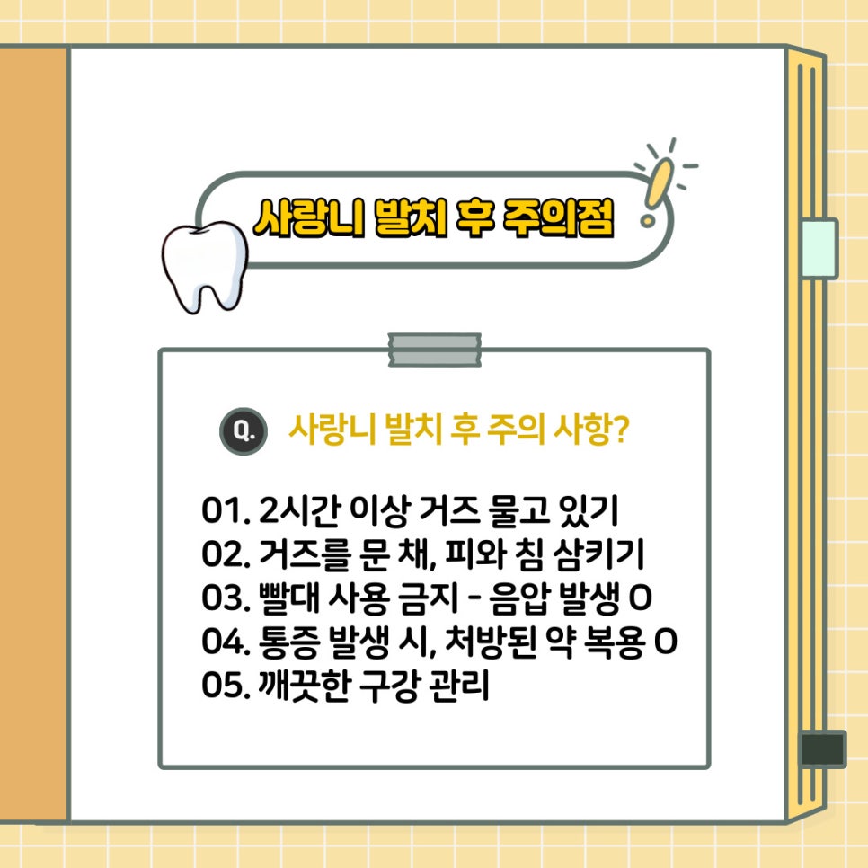 언주역 치과 구강 상식 소개 - 사랑니 발치 전 주의해야 될 점은? 언제 뽑는 것이 좋을까요? 관련 이미지 6