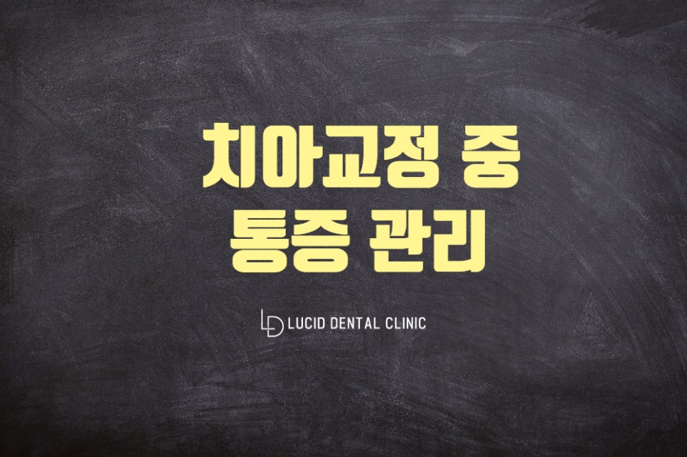 학동역 루시드 치과 - 치아교정 할 때 왜 아픈가요? 그 이유와 관리법을 알려드리겠습니다 관련 이미지 1