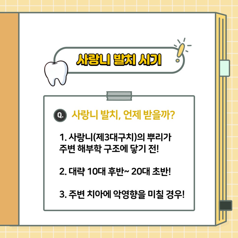 언주역 치과 구강 상식 소개 - 사랑니 발치 전 주의해야 될 점은? 언제 뽑는 것이 좋을까요? 관련 이미지 5