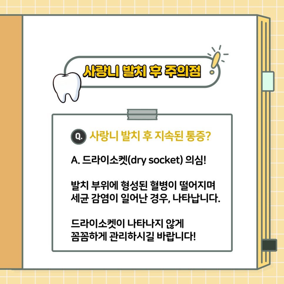 언주역 치과 구강 상식 소개 - 사랑니 발치 전 주의해야 될 점은? 언제 뽑는 것이 좋을까요? 관련 이미지 9