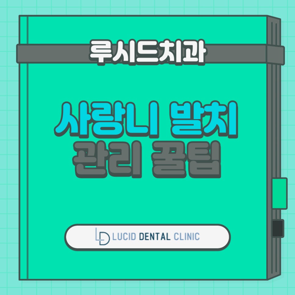서초동 치과 에서 알려주는 사랑니 발치 후 관리법 - 이것만 지킨다면 통증과 붓기, 이젠 안녕! 관련 이미지 1
