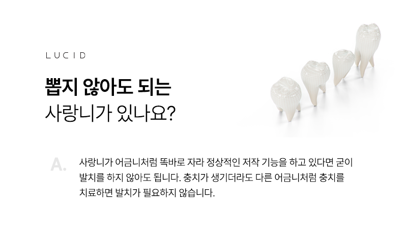 Everything You Wanted to Know Before Wisdom Tooth Extraction! Gangnam Dental Clinic Q&A Summary image 5
