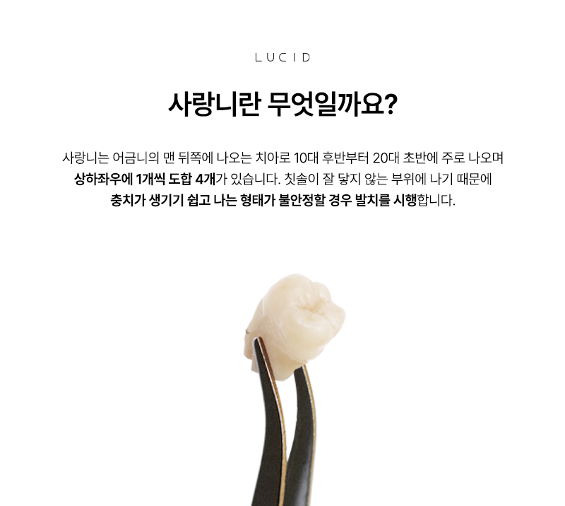 강남 사랑니발치전문치과 선택 전 꼭 확인하세요 관련 이미지 2