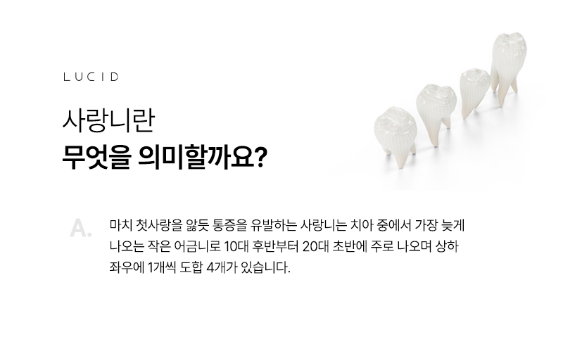 Everything You Wanted to Know Before Wisdom Tooth Extraction! Gangnam Dental Clinic Q&A Summary image 3