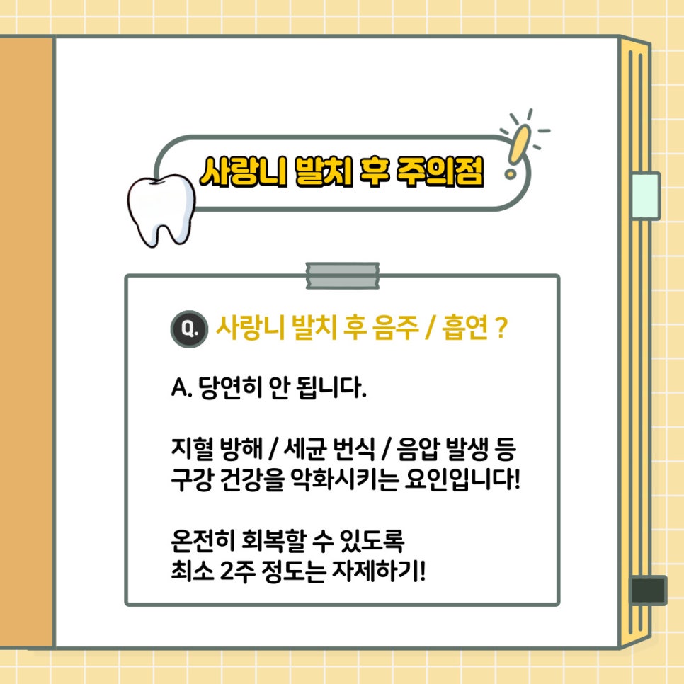 언주역 치과 구강 상식 소개 - 사랑니 발치 전 주의해야 될 점은? 언제 뽑는 것이 좋을까요? 관련 이미지 7