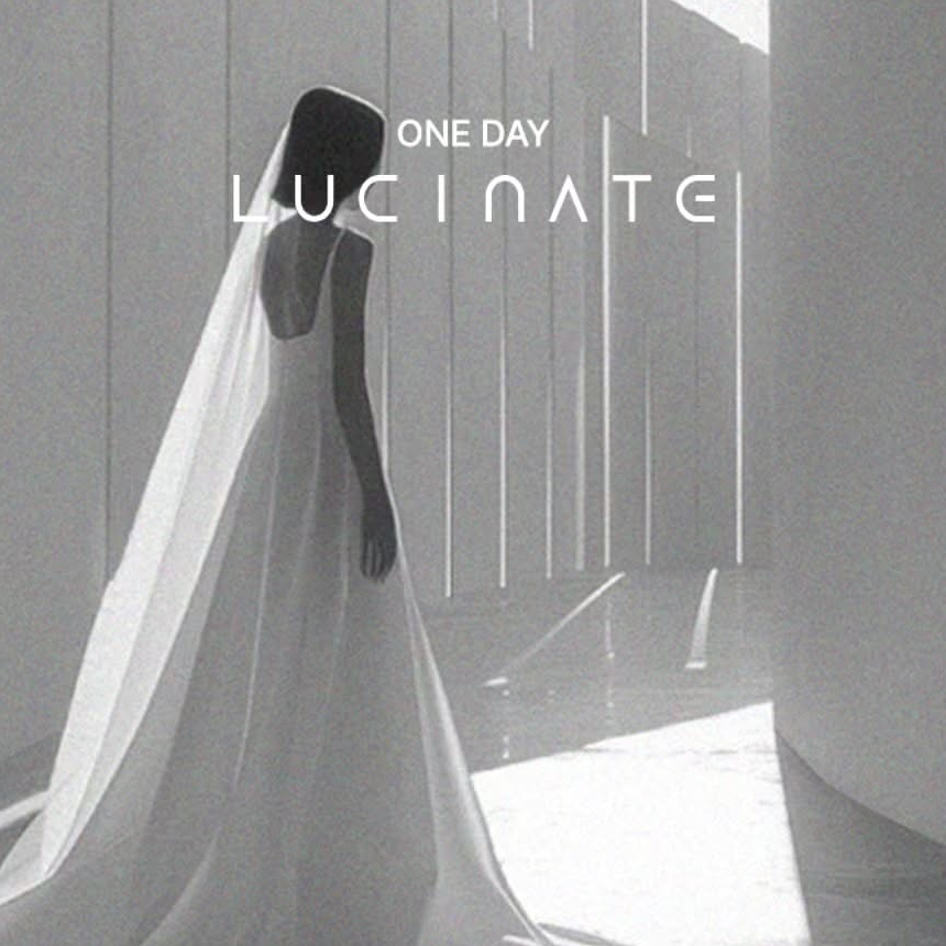 A Special Choice for Brides and Grooms Ahead of Marriage: Lucinate image 2