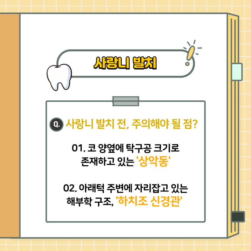언주역 치과 구강 상식 소개 - 사랑니 발치 전 주의해야 될 점은? 언제 뽑는 것이 좋을까요? 관련 이미지 4