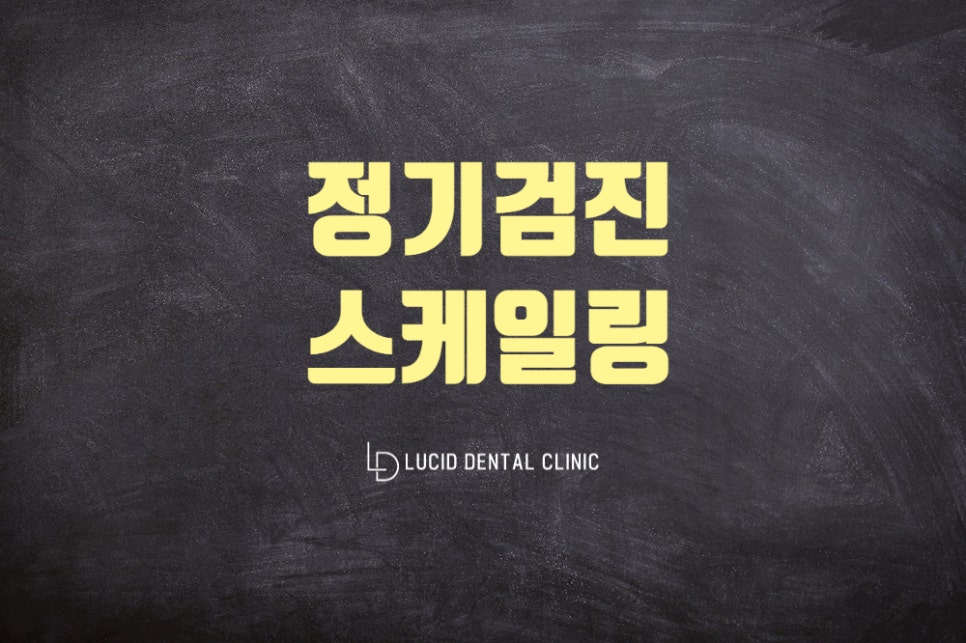 서초동 치과 정기검진, 스케일링 꾸준히 주기적으로 해야된다? 루시드 에서 알려드립니다 관련 이미지 1