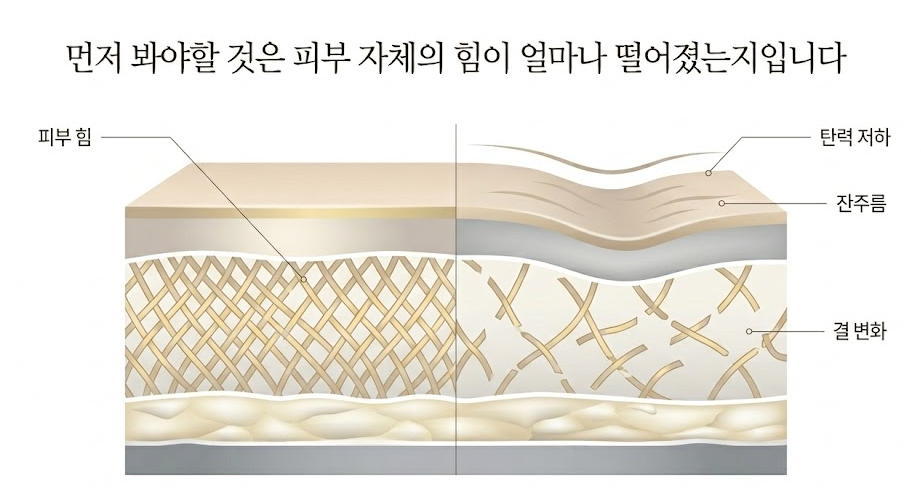 목동 써마지FLX, &ldquo;비싸게만 느껴진다&rdquo;면 먼저 확인할 기준이 있습니다 관련 이미지 2
