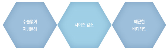 [목동HPL] 매끈한 허벅지 완성하는 지방분해주사 허벅지HPL 관련 이미지 3