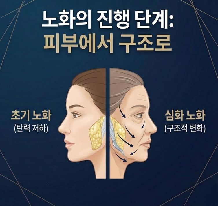 목동성형외과, 성형과 피부 진료를 함께 보는 이유 관련 이미지 3