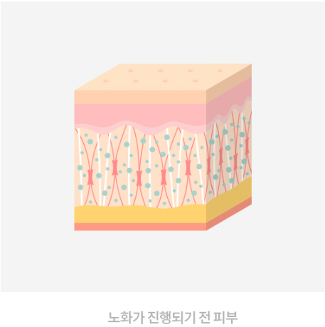 목동사거리피부과 찾으세요? 성형외과 진료까지 한번에 가능한 곳 관련 이미지 4