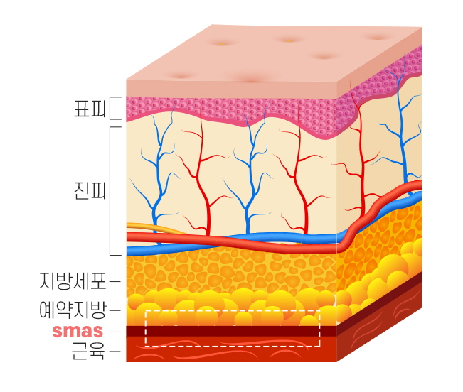 강서구안면거상술 효과 제대로 내는 노하우 관련 이미지 2