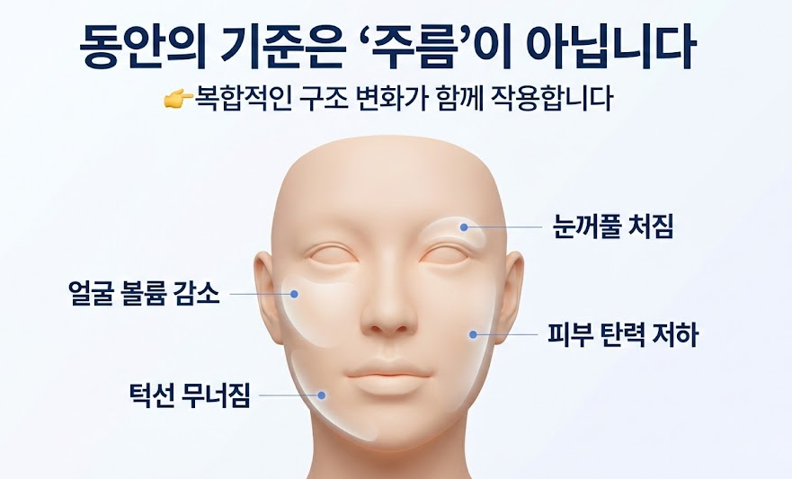 목동동안성형, 어려 보이는 얼굴의 기준은 무엇일까요? 관련 이미지 2