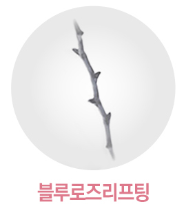 Mokdong Lifting image 6
