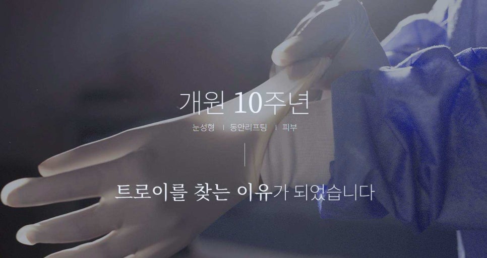 목동성형외과 추천, 트로이가 많이 언급되는 이유 관련 이미지 2